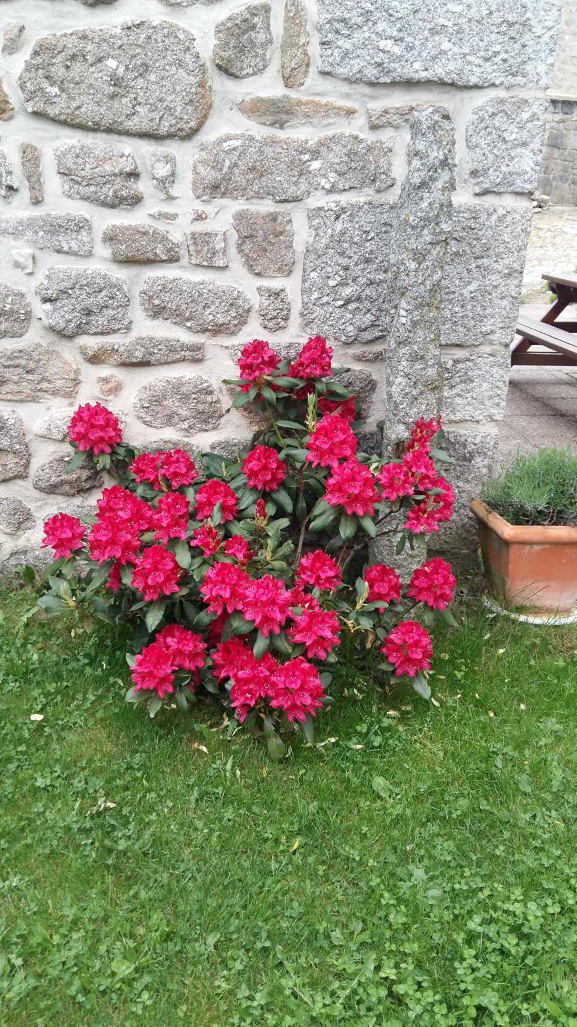 Gite Les Ducs Mialanes Exterior photo